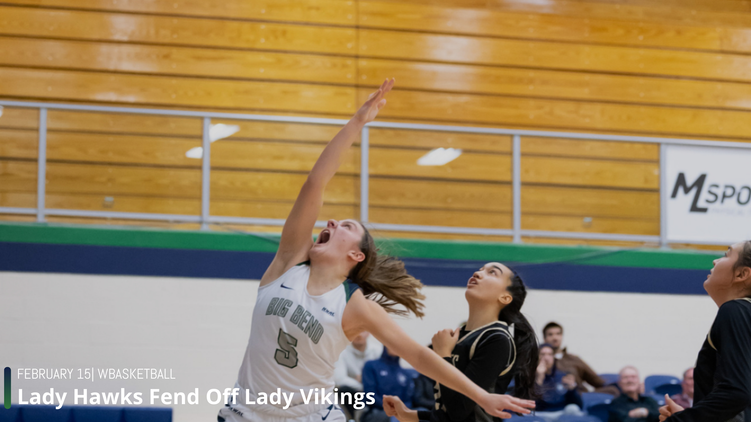 Lady Hawks Fend Off Lady Vikings